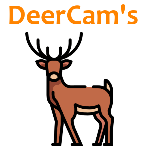 694e836135840deercams.png